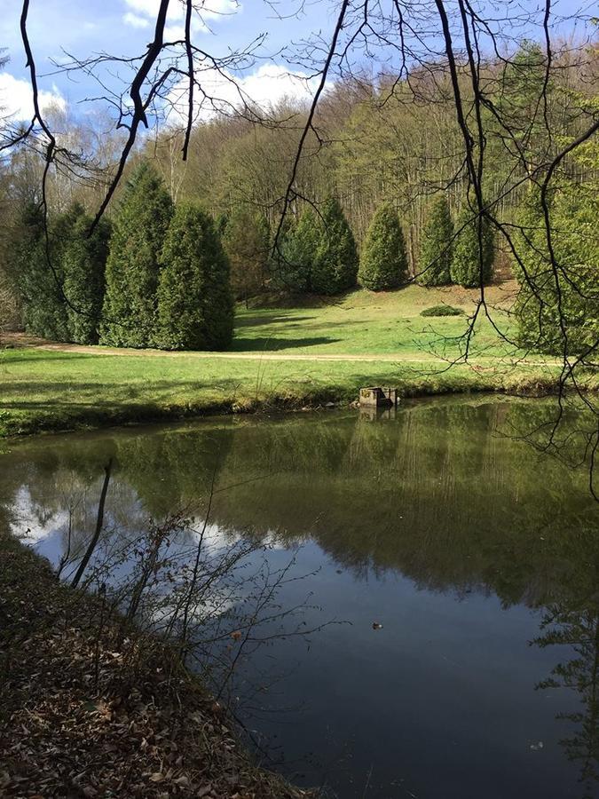Penzpataki Vadaszhaz Nagyvisnyó Exteriér fotografie